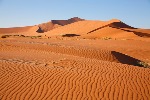 uploaded image
