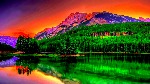 uploaded image