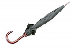 uploaded image