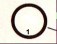 uploaded image