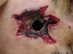 uploaded image