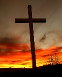 uploaded image