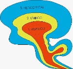 uploaded image