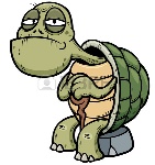 uploaded image