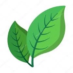 uploaded image