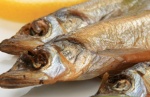 uploaded image