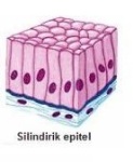 silindirik