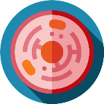 794241_science_512x512