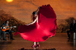 flamenco-flamenco-21