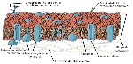 8bd8295352accd0e2640a4af5a2049de34e5753b