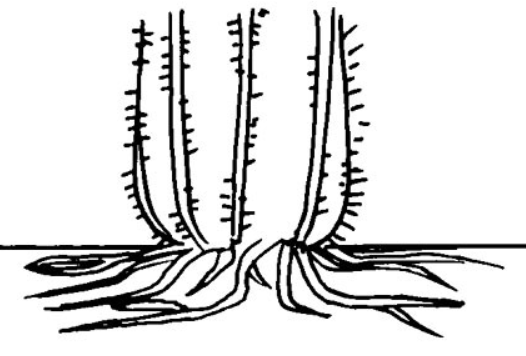root01