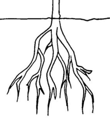 root02