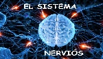 e463701a-8526-4474-9aab-f93a1b90766b