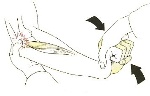 cozen