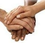 contribuir